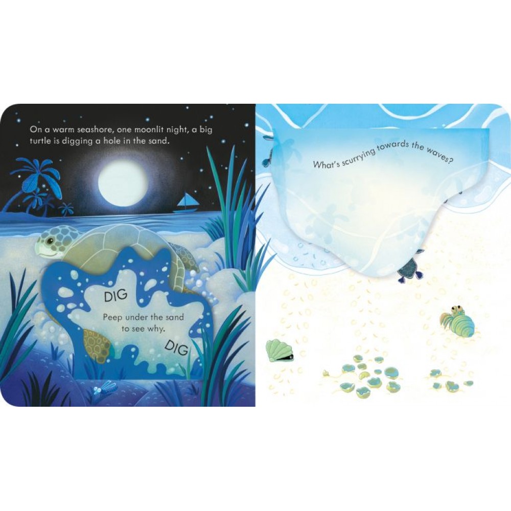 Peep Inside the seashore