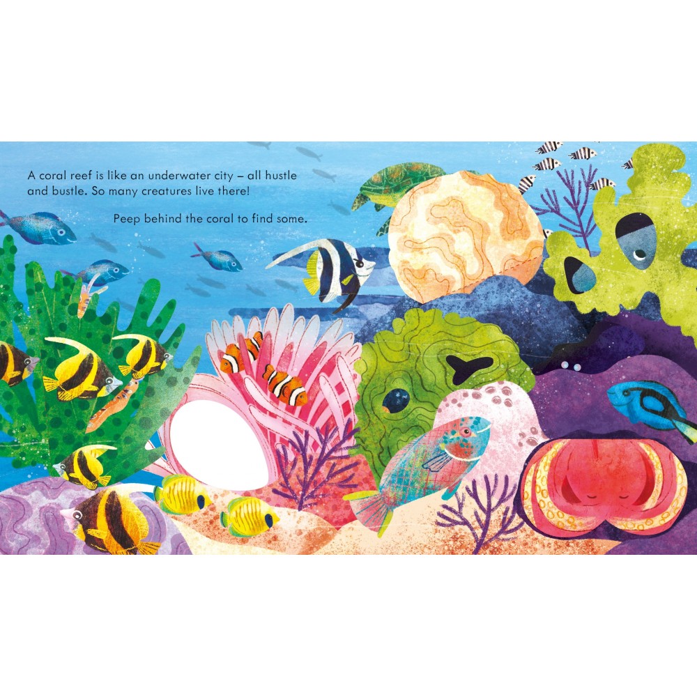 Look inside A Coral Reef