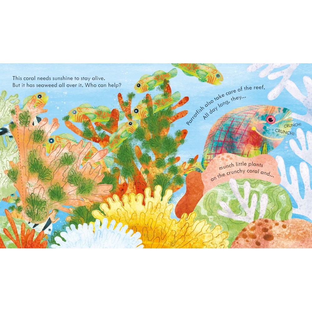 Look inside A Coral Reef