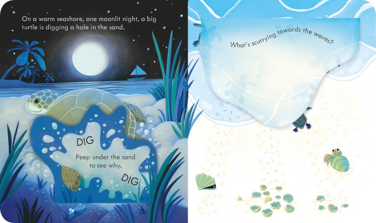 Peep Inside the seashore Peep Inside the seashore