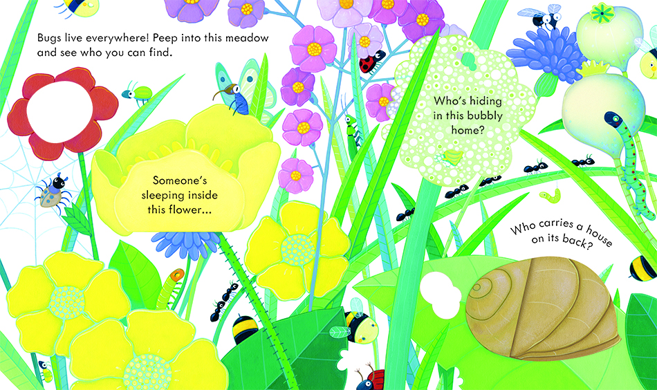 Peep Inside Bug Homes