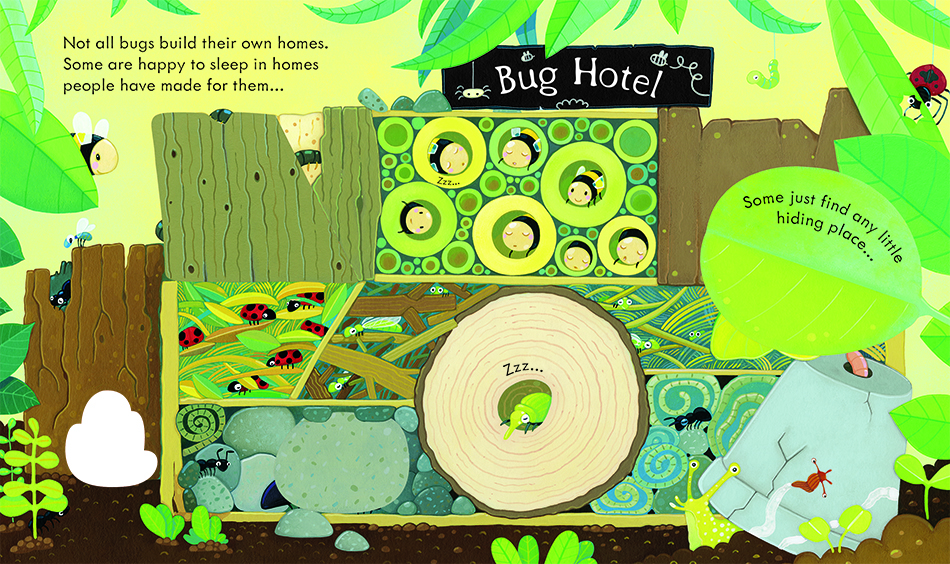 Peep Inside Bug Homes