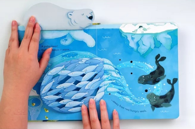 Peep Inside The Sea Peep Inside The Sea