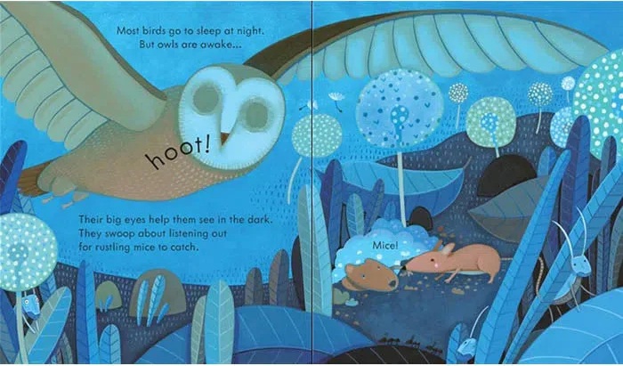 Peep Inside Night Time Peep Inside Night Time