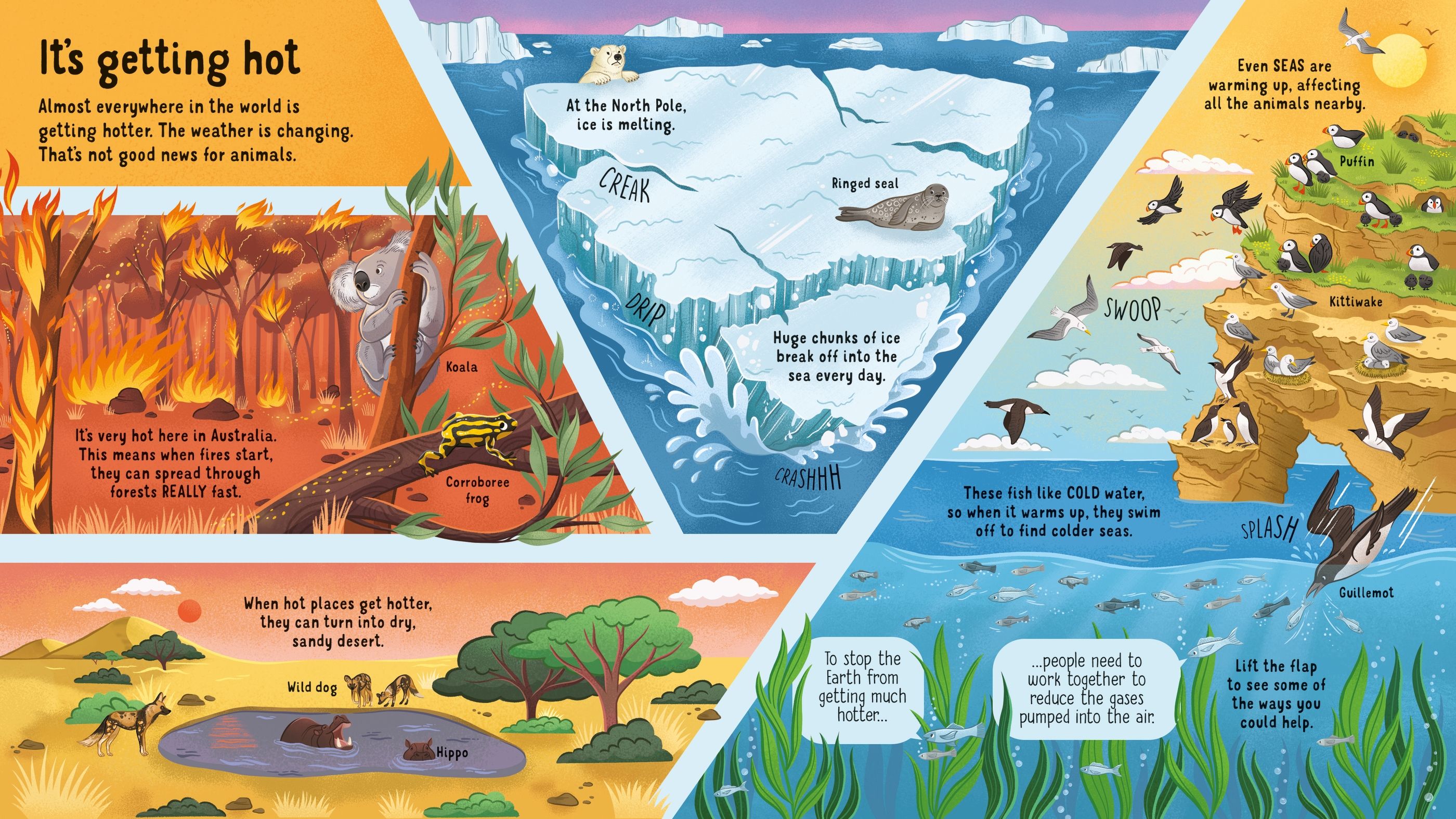 Look Inside Animals in Danger