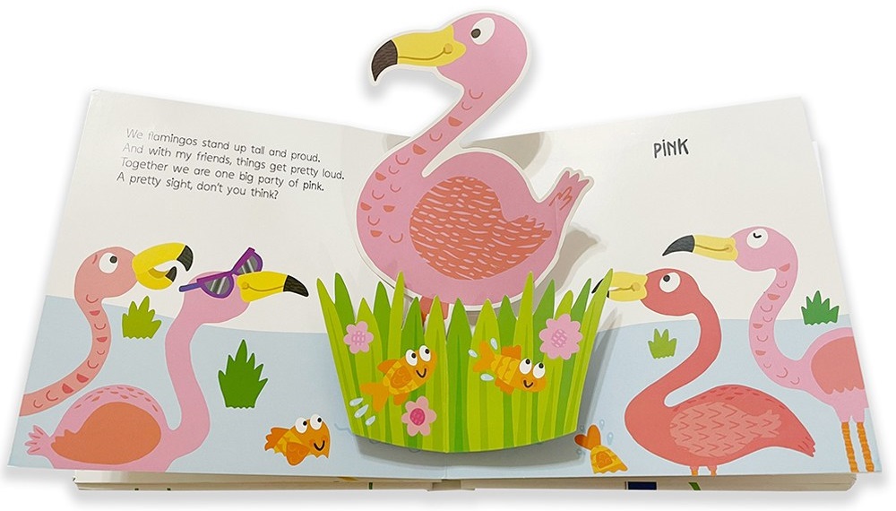 Pop-Up & Learn Colours