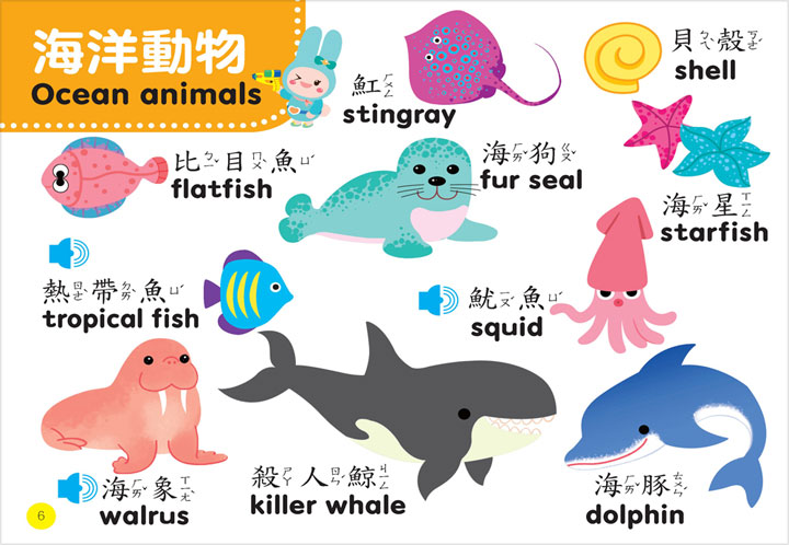 忍者兔幼兒認知雙語有聲學習書