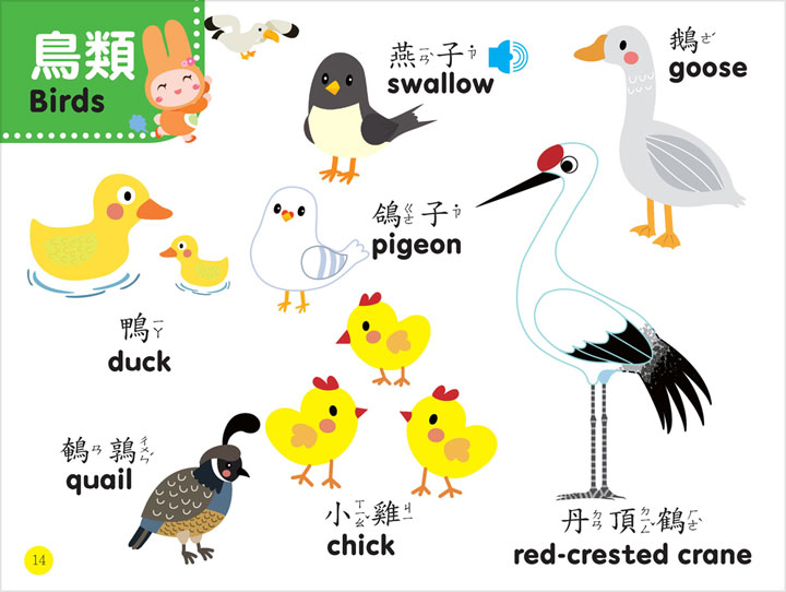 忍者兔幼兒認知雙語有聲學習書