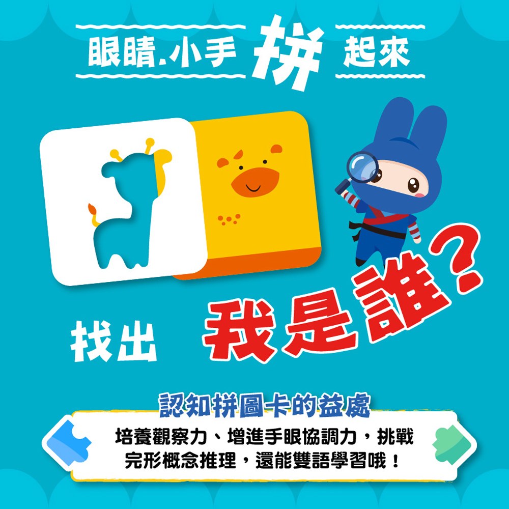認知拼圖卡-動物找一找 認知拼圖卡-動物找一找