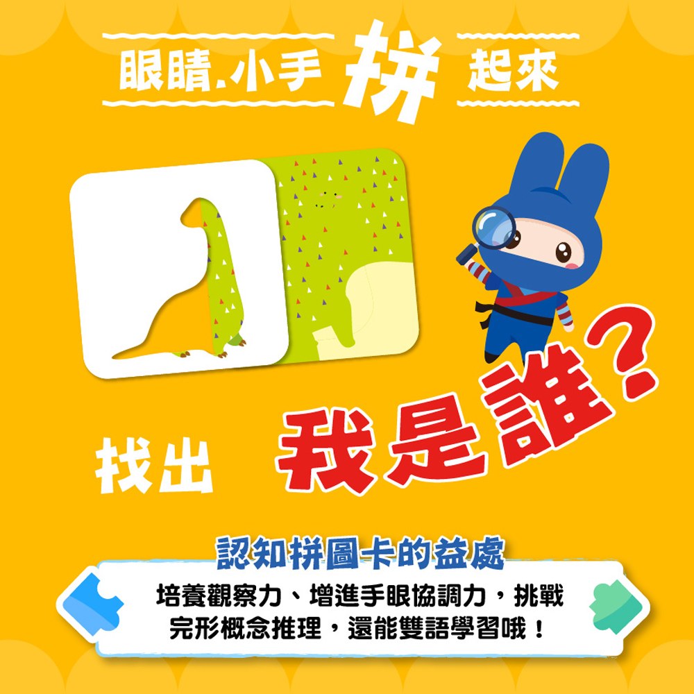 認知拼圖卡-恐龍點一點 認知拼圖卡-恐龍點一點