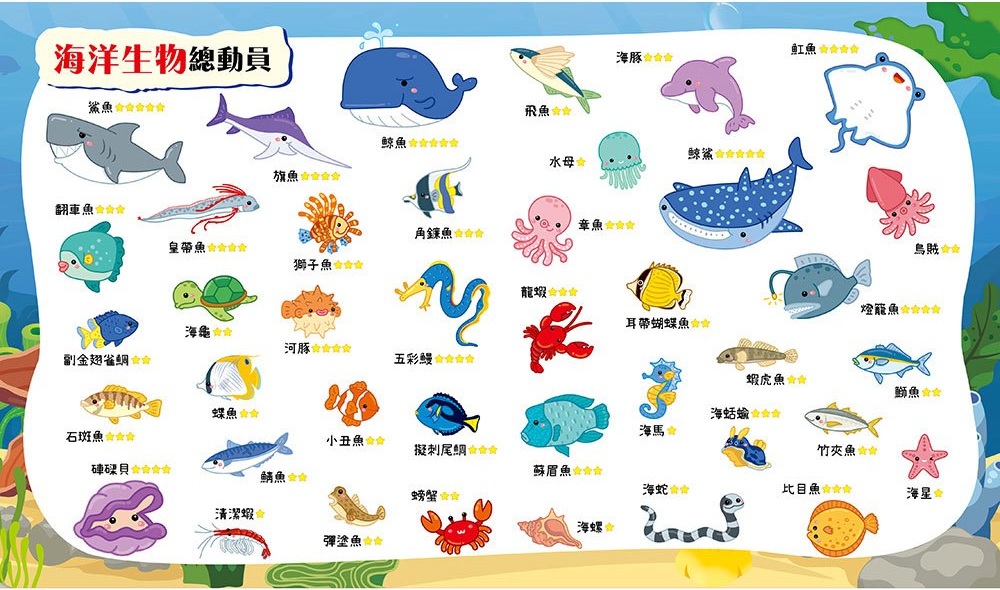 忍者兔釣魚高手磁鐵遊戲：一起釣魚趣