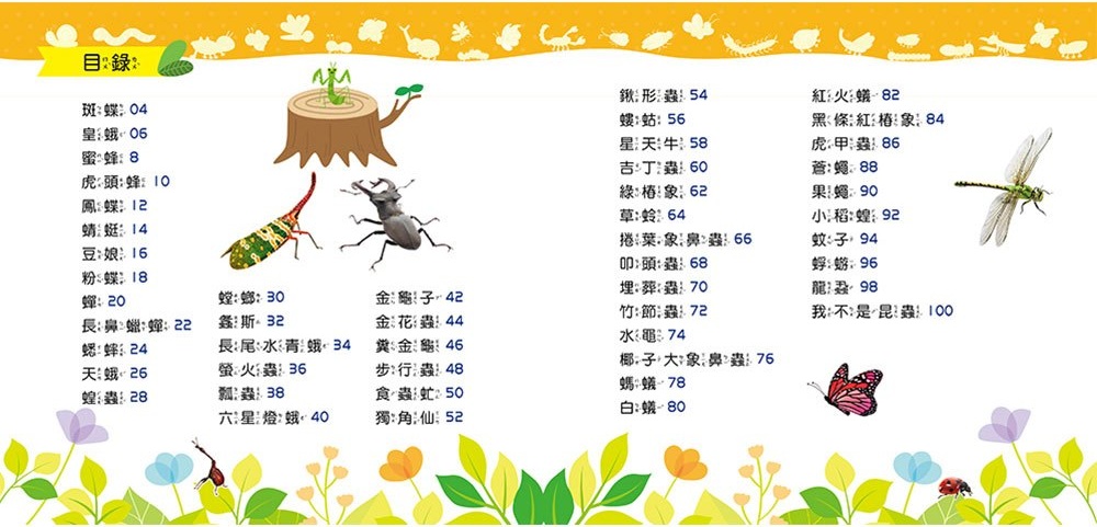 忍者兔魔法投影手電筒：昆蟲王國百科圖鑑