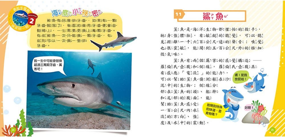 忍者兔魔法投影手電筒：海洋生物百科圖鑑