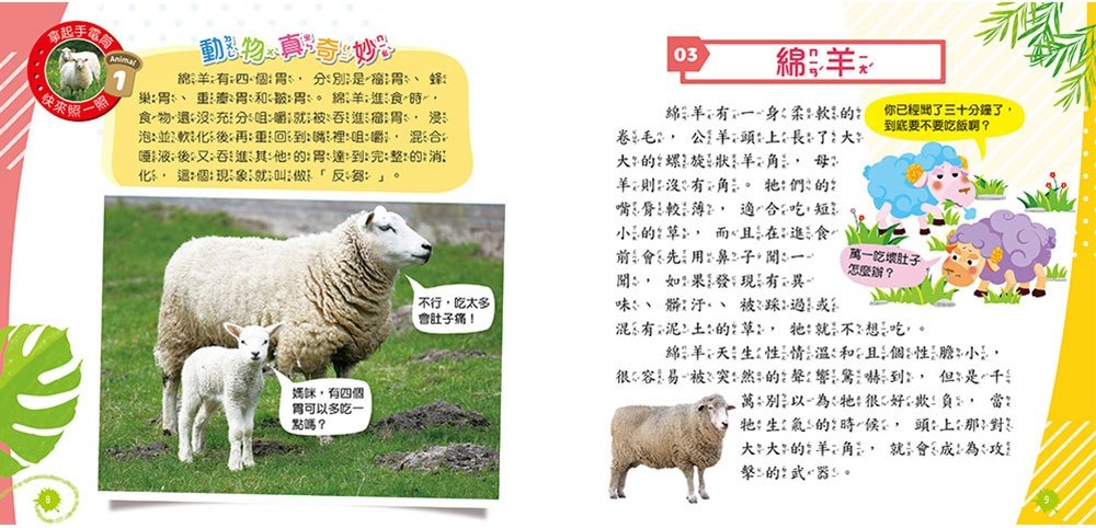 忍者兔魔法投影手電筒：奇妙動物百科圖鑑