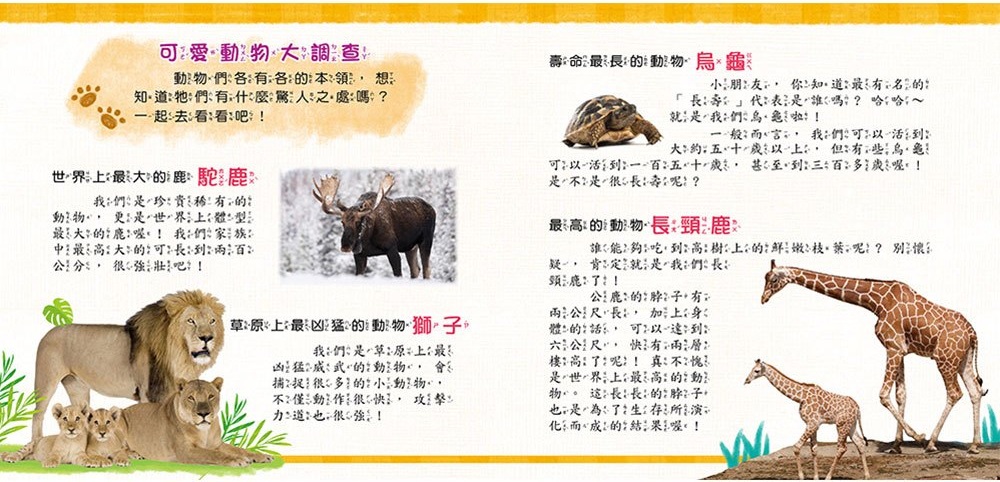 忍者兔魔法投影手電筒：奇妙動物百科圖鑑